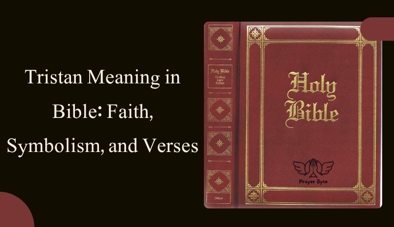 Tristan Meaning in Bible