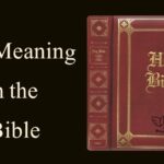 111 Meaning in the Bible: What God Is Telling You