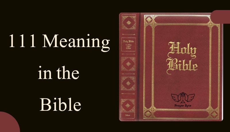 111 Meaning in the Bible