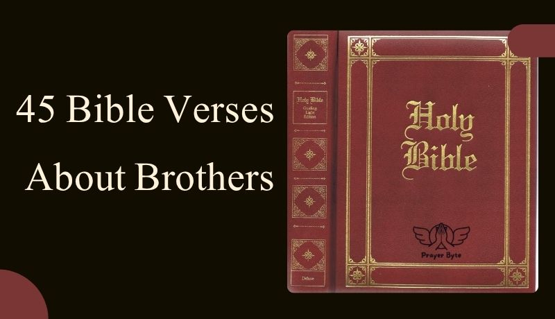 Bible Verses About Brothers