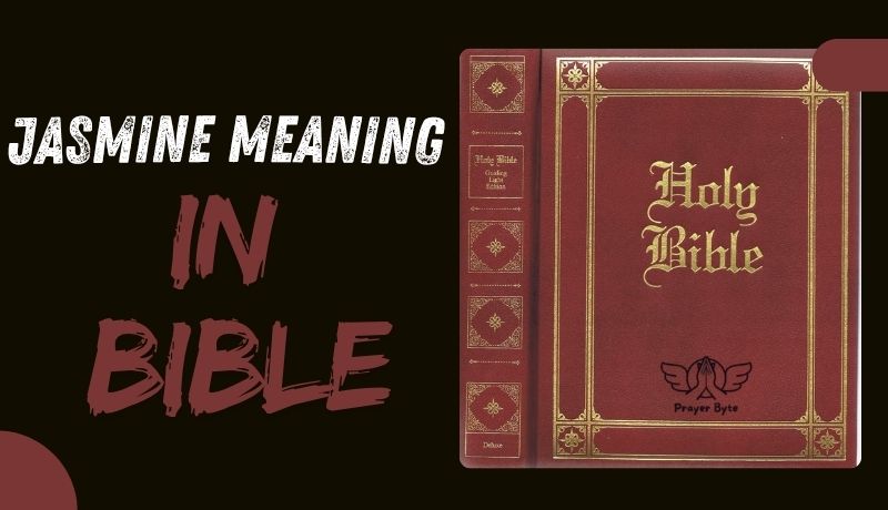 Jasmine Meaning in Bible