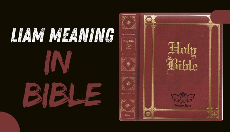Liam Meaning in Bible