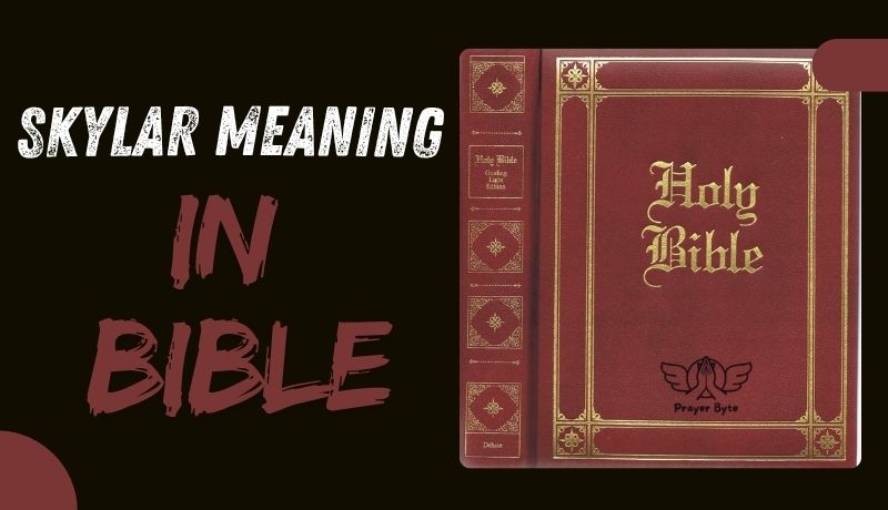 Skylar Meaning in Bible